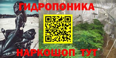 гидропоника Волжск