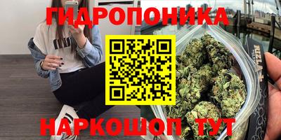 стаф Волжский