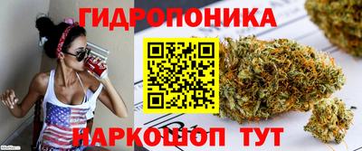 стаф Волжский
